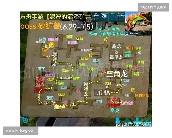 方舟手游：等级调制之谜